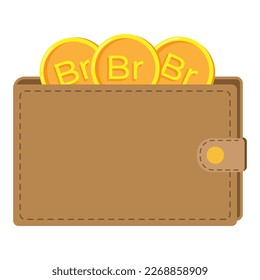 Wallet with Belarusian ruble coin. Vector flat illustration
