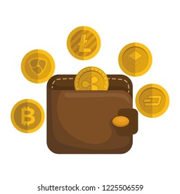 wallet with bitcoins icon