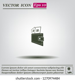 Wallet with dollars icon