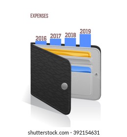 Wallet with expenses chart year by year