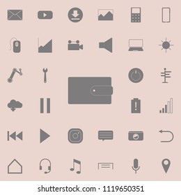 Wallet icon. Detailed set of minimalistic icons. Premium quality graphic design sign. One of the collection icons for websites, web design, mobile app on colored background