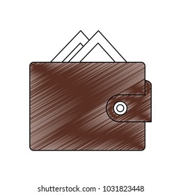 Wallet with money