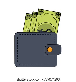Wallet with money