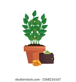 wallet with plant in pot and coins vector illustration design
