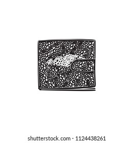 Wallet from Stingray leather vector. Leather purse pattern