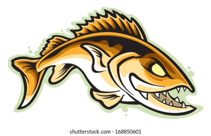 Walleye