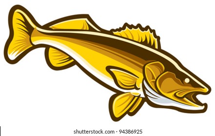 Walleye