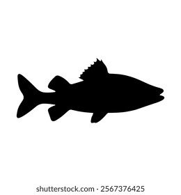 Walleye fish silhouette vector illustration design on white background.