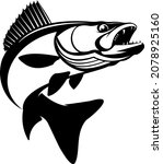 Walleye Fishing Logo, Unique and Fresh, Walleye fish jumping out of the water, Great to use as your Walleye fishing activity.