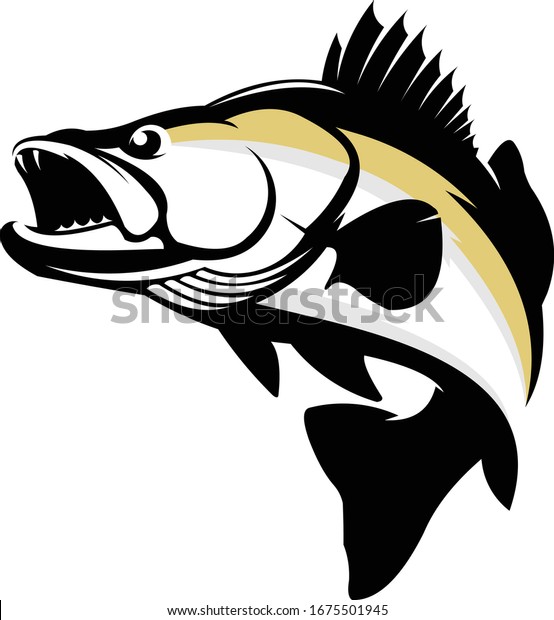Walleye Logo. A\
Unique & Fresh Walleye Fish Vector. Great for Walleye logo\
Template, Decal & Shirts.\
