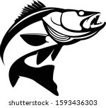 Walleye / Zande fish logo. Walleye fish fishing emblem for sport club. Walleye fishing background theme vector illustration.
