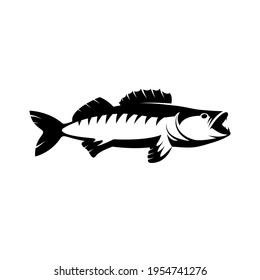 Walleye. Zander fish logo. Walleye fish fishing emblem for sport club. Walleye fishing background theme vector illustration.