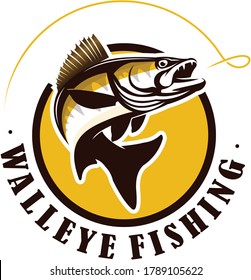 Walleye Zander Fish Logo. Unique and Fresh Walleye Zander fish logo template. Great for your Zander / walleye fishing acitivity. 