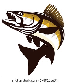 Walleye Zander Fish Logo. Unique and Fresh Walleye Zander fish logo template. Great for your Zander / walleye fishing acitivity. 