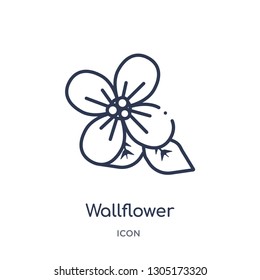 wallflower icon from nature outline collection. Thin line wallflower icon isolated on white background.