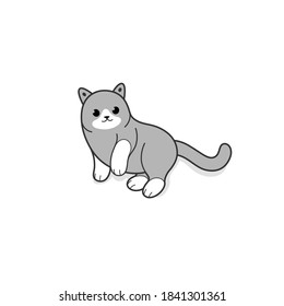 Rociando al gato. Gris con patas blancas. Ilustración vectorial en estilo de caricatura para afiche, postal.