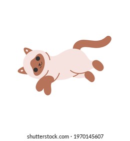 Wallowing cat. Siam kitty with brown paws. Vector illustration in cartoon style for poster, postcard.