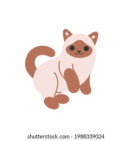 Wallowing cat. Siam kitty with brown paws. Vector illustration in cartoon style for poster, postcard.