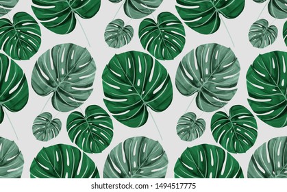 Wallpaper and background of monstera leaves in various shapes. Watercolor painting. 