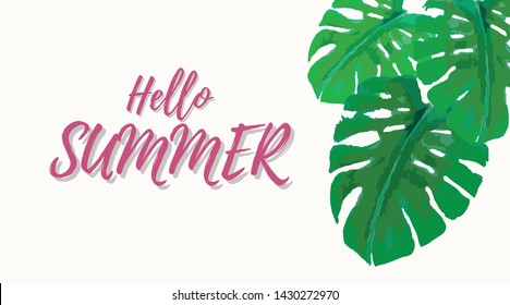 Wallpaper/ background style of the tropical tree leaves with text in sopy space -Hello Summer- for summer style advertisement decoration marketing program in summer holiday time in minimal style