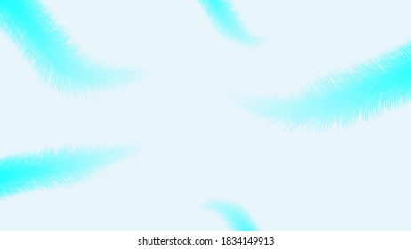 Wallpaper of blue feathers on a light background