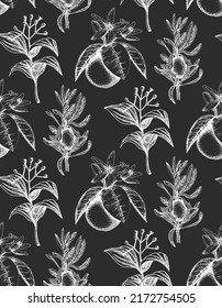 Wallpaper with botanical drawings in engraving style. Herbs and spices background in vector, design elements. Plants, seamless pattern, hand drawn illustrations.