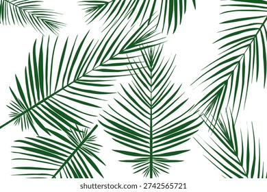 wallpaper of a bunch of coconut leaves on a white background