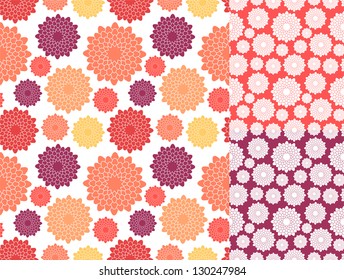 Wallpaper. Chrysanthemum