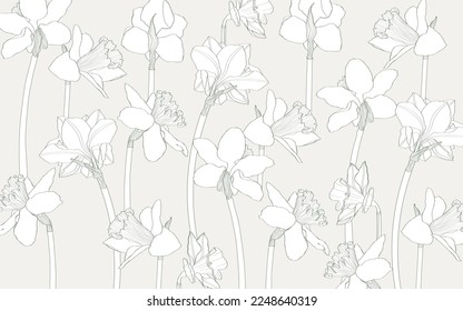 Wallpaper design with line Daffodils flowers and natural background. Line design for wall art, fabrics, prints and background texture, illustration.