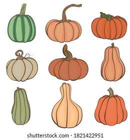 wallpaper of different kinds of pumpkins on a white background for autumn