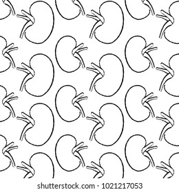 wallpaper with human kidney organs medical