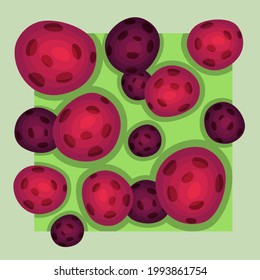Wallpaper with the image of mushroom caps on top. Vector illustration.
