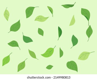 It is a wallpaper of many leaves.
