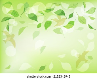It is a wallpaper of natural leaves and birds.