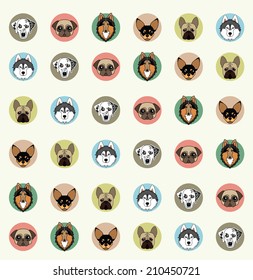 papel de parede com animais de estimação de diferentes raças
