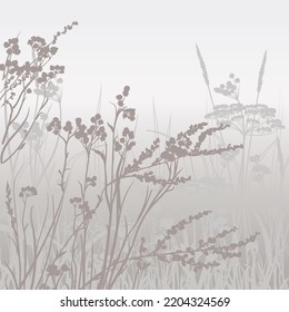 wallpaper with a silhouette of wild herbs in the haze of sunset and a romantic mood