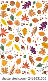wallpaper of various types of dry leaves in autumn on white