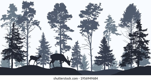 Wallpaper Woodland, Silhouette Of Coniferous Forest And Animals. Beautiful Fir Trees And Pines. Vector Illustration.