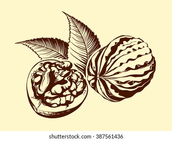Walnut