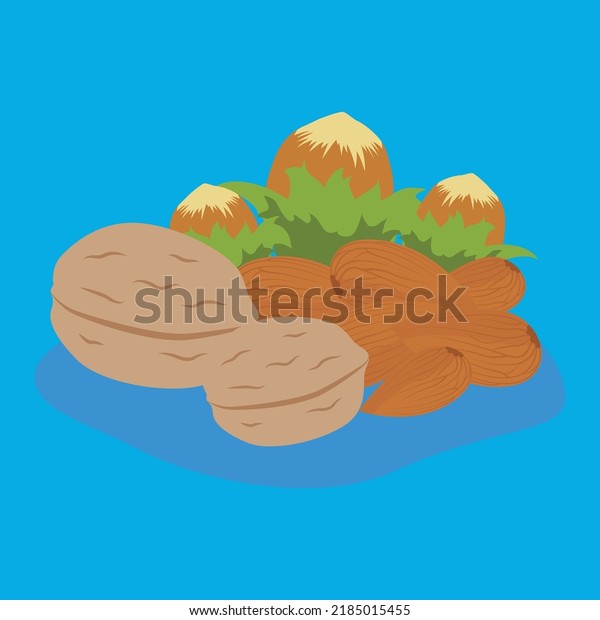 Walnut Almond Hazelnut Illustration Stock Vector (Royalty Free