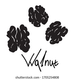 Walnussschwarzes Logo. Handgezeichnete Skizze. Grafische einzelne Illustration. Handgeschriebener Text