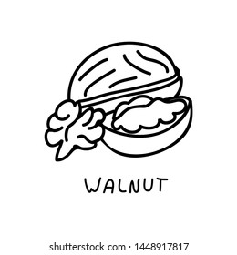 Walnut black and white vector illustration. Hand drawn doodle of a nut, lettering included.