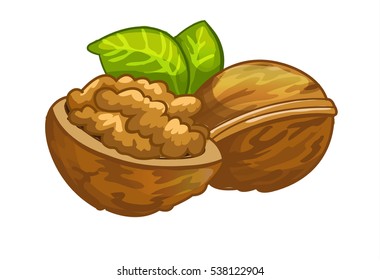 Walnut Cartoon Vector Illustration On A White Background