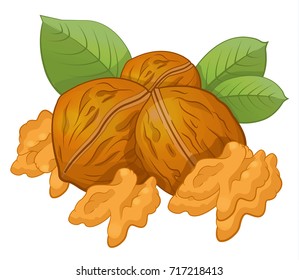 5,952 Cartoon walnut Images, Stock Photos & Vectors | Shutterstock