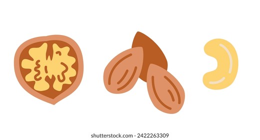 Walnut, cashew and almond, various nuts, cartoon style. Trendy modern vector illustration isolated on white background, hand drawn, flat design