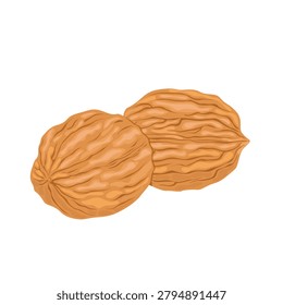 Walnut collection featuring whole nuts. Perfect for healthy nutrition themes, gourmet ingredients, organic food packaging, cooking and agricultural projects.