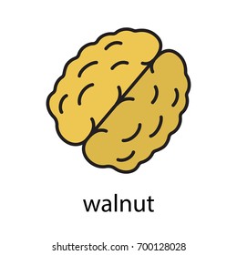 Walnut color icon. Flavoring, seasoning. Isolated vector illustration