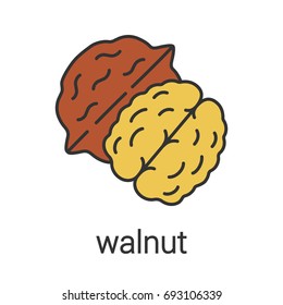 Walnut color icon. Hazelnut. Flavoring, seasoning. Isolated vector illustration