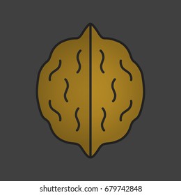 Walnut color icon. Hazelnut. Isolated vector illustration