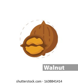 walnut color icon. isolated vector illustration